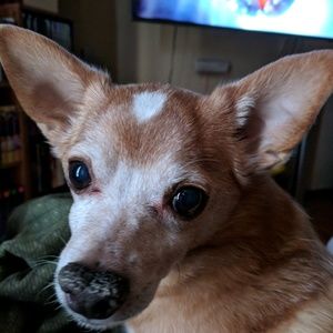 Meet your Posher, Kristina